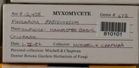Image Associated With the Occurence